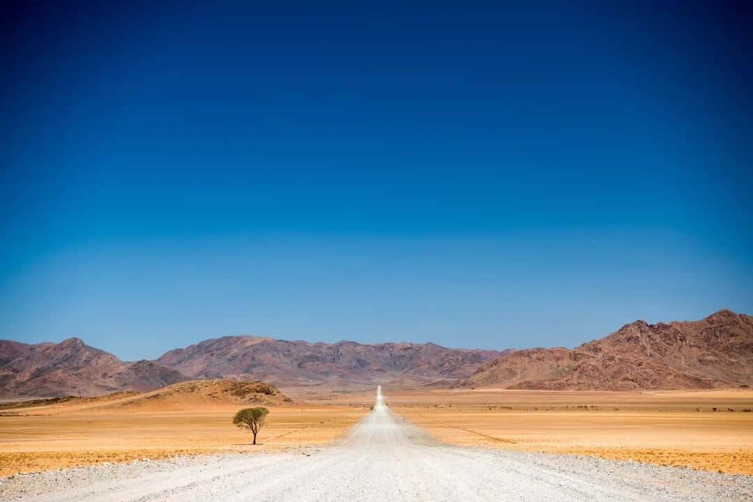 National Geographic Travelさんのインスタグラム写真 - (National Geographic TravelInstagram)「Photo by @taylorglenn | Straight through the Namib Desert. Nothing like these wide open spaces and seemingly endless roads. The arid landscape of Namibia is an incredible place to explore. Follow @taylorglenn for more around the globe. #Namibia #roadtrip #desert」7月24日 19時05分 - natgeotravel