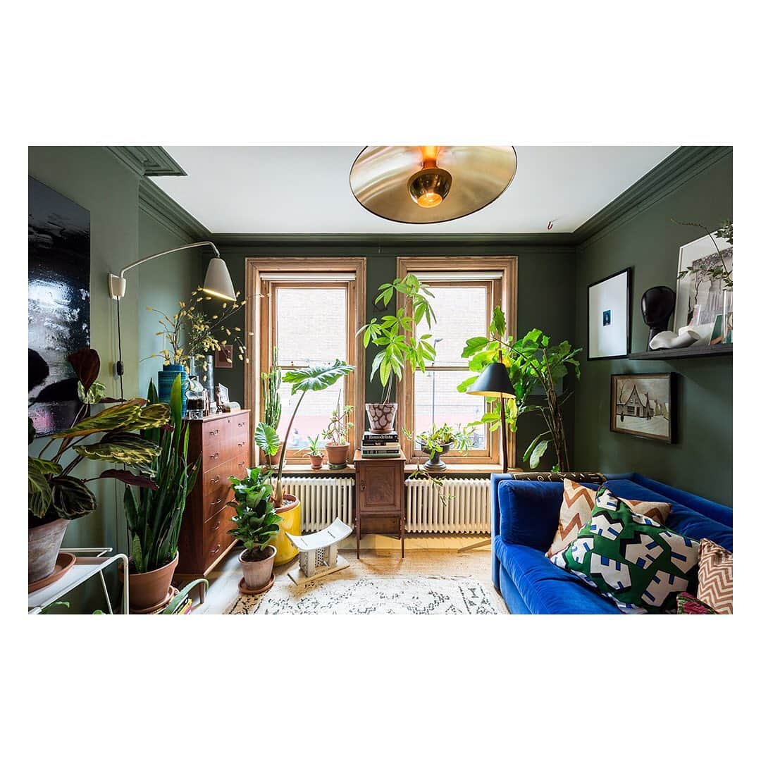 The Modern Houseさんのインスタグラム写真 - (The Modern HouseInstagram)「We’re looking at how maximalist interiors have well and truly made a comeback and asking why and how the style has captured the zeitgeist. Link in our bio to hear our thoughts.」7月24日 19時07分 - themodernhouse