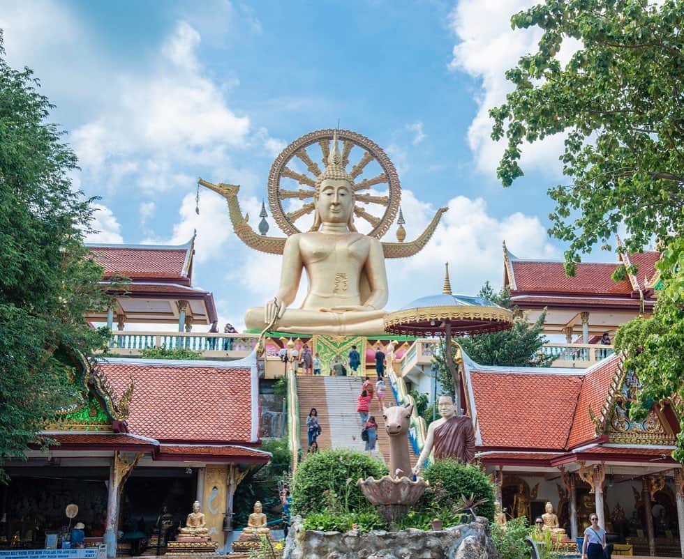 タイ国政府観光庁さんのインスタグラム写真 - (タイ国政府観光庁Instagram)「洗練された大人のビーチリゾート、サムイ島へ行こう🏝✨﻿ ﻿ タイ南部のビーチアイランド「サムイ島」の特集記事を公開中です💁🏻‍♂️﻿ ﻿ サムイ島は、島全体をココナッツ林に囲まれた手つかずの自然が残るリゾート。世界的なラグジュアリーホテルも進出している洗練された雰囲気で旅行者を魅了し続けています🌴﻿ ﻿ 特集記事では、サムイ島へのアクセス方法などの基本情報から、旅の魅力を５つのポイントにまとめてご紹介しています👍﻿ ﻿ 是非ご覧ください😊﻿ ﻿ 🔗特集記事はプロフィールのリンクから @AmazingThailandJP﻿ ﻿ ちなみに‼️ 日本の夏休み期間、サムイ島はセカンドベストシーズン中👙夏旅にはぜひサムイ島も候補に入れてみてください。詳細はストーリーの「夏旅」をCheck💫﻿ ﻿ #タイ #サムイ #サムイ島 #タイリゾート #タイビーチ #海外リゾート #リゾート #こんなタイ知らなかった #はじめてのタイ #タイ旅行  #旅好きな人と繋がりたい #旅行好きな人と繋がりたい #海外旅行 #ラグジュアリーなタイ #thailand #samui #kosamui #thaibeach #thairesort #instabeach #resort  #amazingthailand #thailandtravel #thailandtrip #thai #thaistagram #lovethailand #luxurythailand﻿ ﻿」7月24日 19時27分 - amazingthailandjp