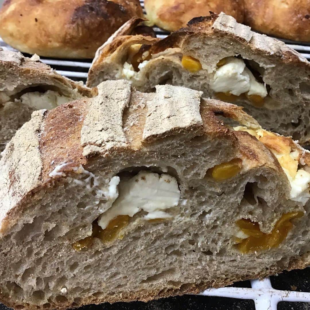 魔女菅原のグルメインスタ