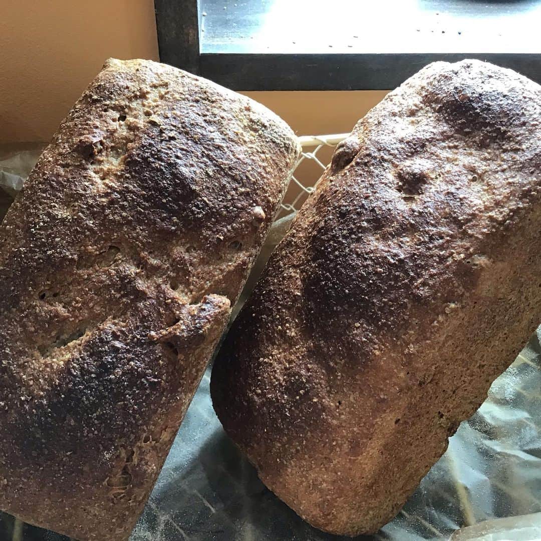 魔女菅原のグルメインスタ