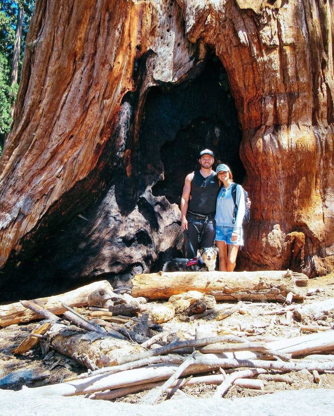 ケラン・ラッツさんのインスタグラム写真 - (ケラン・ラッツInstagram)「I love being spontaneous and getting away and Brittany has always wanted to see Yosemite (especially since we watched @alexhonnold in Free Solo, anyone else see it?) and we figured no better time than the present! So we jumped in the car and had an awesome weekend with each other and our Koda in nature.」7月24日 11時10分 - kellanlutz