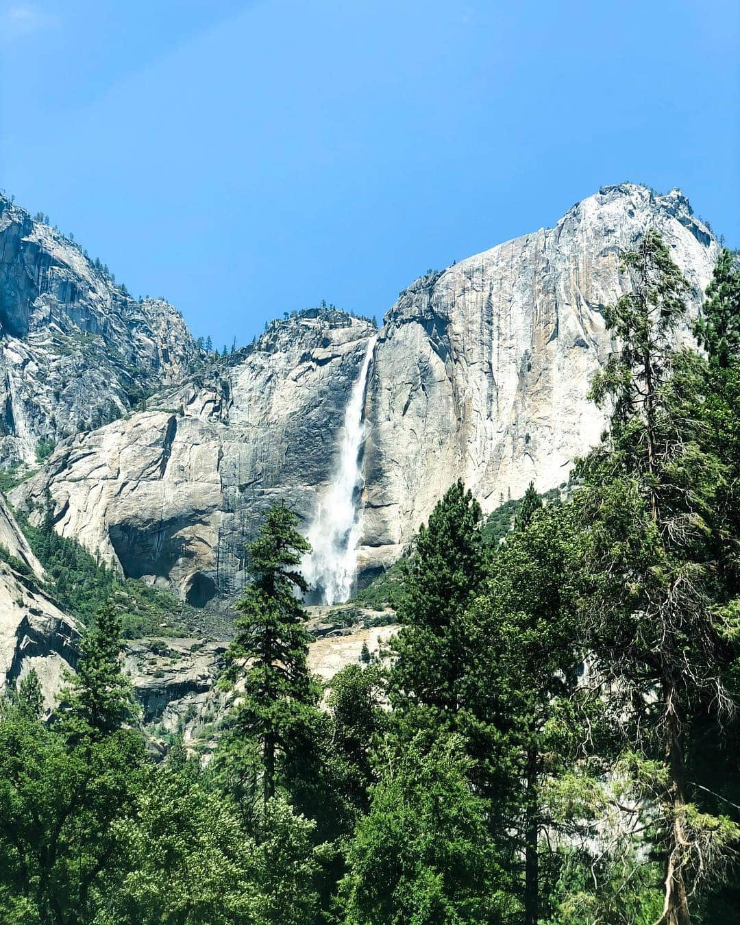 ケラン・ラッツさんのインスタグラム写真 - (ケラン・ラッツInstagram)「I love being spontaneous and getting away and Brittany has always wanted to see Yosemite (especially since we watched @alexhonnold in Free Solo, anyone else see it?) and we figured no better time than the present! So we jumped in the car and had an awesome weekend with each other and our Koda in nature.」7月24日 11時10分 - kellanlutz