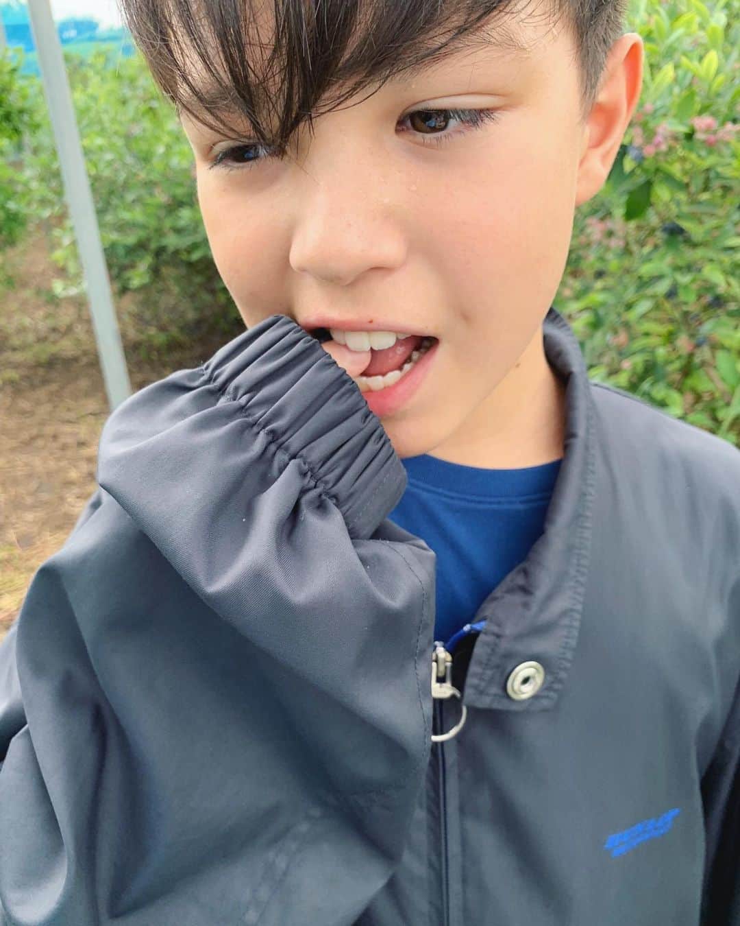 バイリンガル3兄妹のインスタグラム：「ブルーベリー狩り♡ ・ 長崎、福岡旅行はガールズメインの旅行で空雅はじじのお家でお留守番だったので ・ 今日はガールズ預けて 私と空雅のみ♡ ・ 大好きなブルーベリーをたくさん食べさせてあげたいとブルーベリー狩りへ… ・ 虫が多いから長袖着てきてくださいって言われたの忘れて、実家でじじのジャンパーを借りて行ったんだけど ・ 「暑い🥵」 「虫怖い😭」 「洗ってから食べたい」 ・ と。 もう、お前「狩り」には一生来なくていいからなってつっこみたくなる程のダメ男っぷり😂 ・ お土産用に自分たちでパックに詰めて良かったので、せめてそれはたくさん詰めてくれよって任せて ・ 私はモリモリ食べてきました😂 ・ 今年はいちご狩り行けなかったから、私はブルーベリー狩りができて大満足でした♡ ・ 美味しかったです♡ ・ ・ #ブルーベリー狩り #バイリンガル3兄妹  #空雅 #11歳 #小6男子」