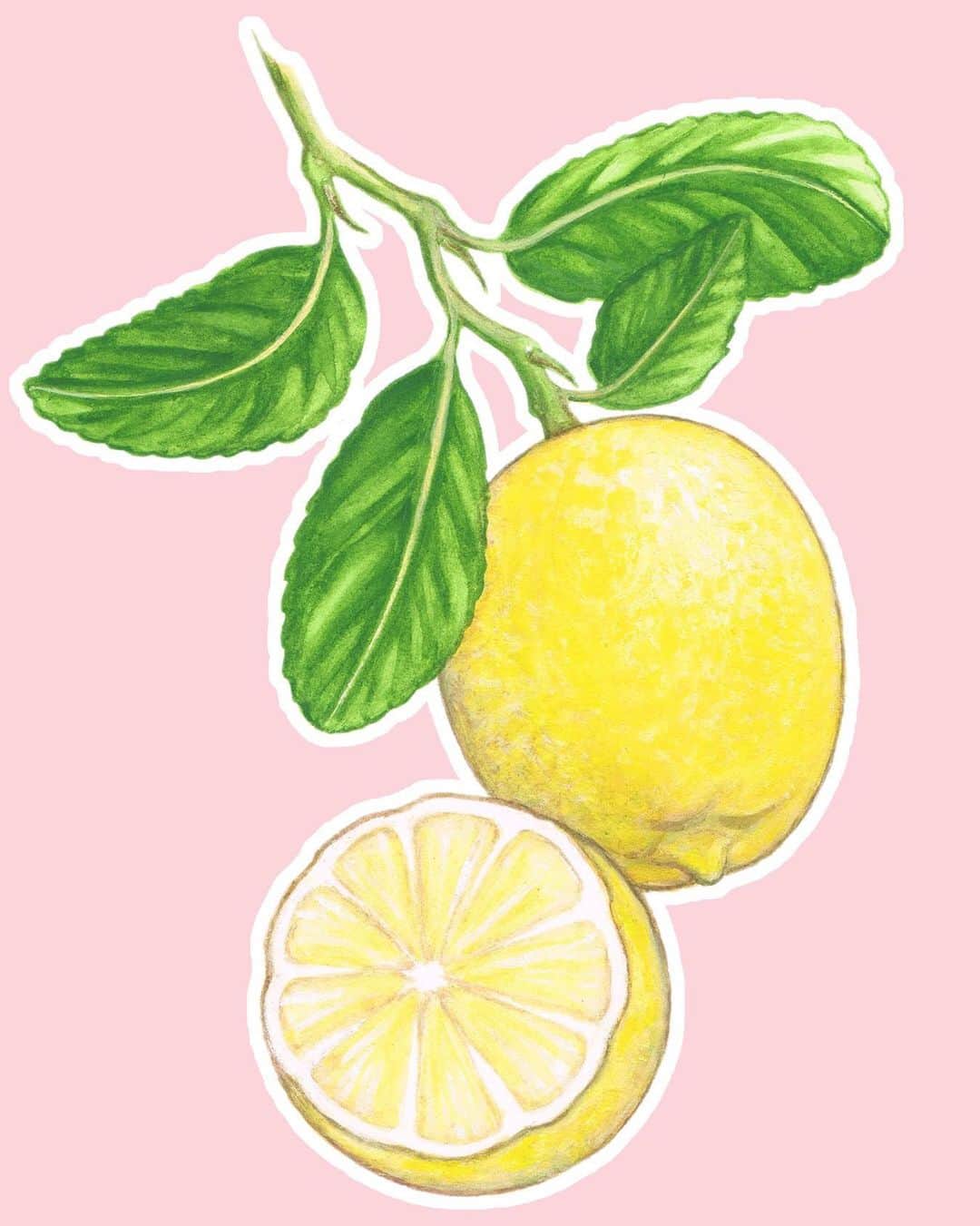 KORA Organicsさんのインスタグラム写真 - (KORA OrganicsInstagram)「The Noni Bright Vitamin C Serum is formulated with Certified Organic lemon peel 🍋 to support even skin elasticity for firm, youthful skin. #NoniBright #KORAOrganics #MindBodySkin」7月24日 11時39分 - koraorganics