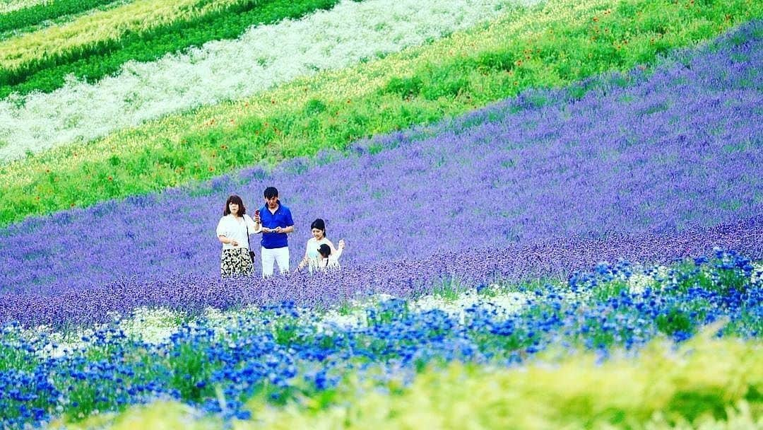 Short Tripさんのインスタグラム写真 - (Short TripInstagram)「like!＆コメント大歓迎！⠀ Photo by @mai.suzuran.⠀ .⠀ Original Post⠀ https://www.instagram.com/p/BW00mqcjtdm/⠀ ⠀ 本アカウントは、#photo_shorttrip をつけてInstagramに投稿された皆さんの記憶に残る素敵な「旅の一枚」をご紹介しています。また、「Short Trip」Facebookページでも作品をご紹介＆受付中！⠀ ご投稿いただく際は、撮影機材（カメラやレンズの名前）も是非ご記載ください。（撮影機材情報は作品選定には影響しません）⠀ ⠀ #photo_shorttrip #小旅行 #shorttrip #short_trip #旅 #旅行 #写真 #photo #travelphoto #travelphotos #travelphotography⠀ Follow: @photo_shorttrip」7月24日 12時00分 - photo_shorttrip