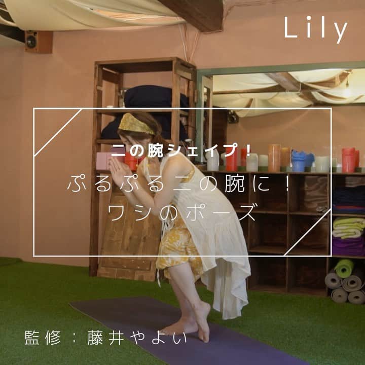 Lilyのインスタグラム