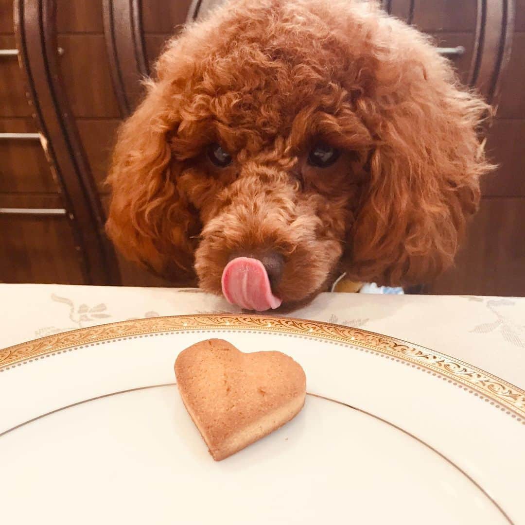 のインスタグラム：「#おからクッキー #手作りお菓子  #ラカント  #ラカントスイーツ 🍰 #おからパウダー  #小麦粉不使用  #小麦粉不使用クッキー 🍪」
