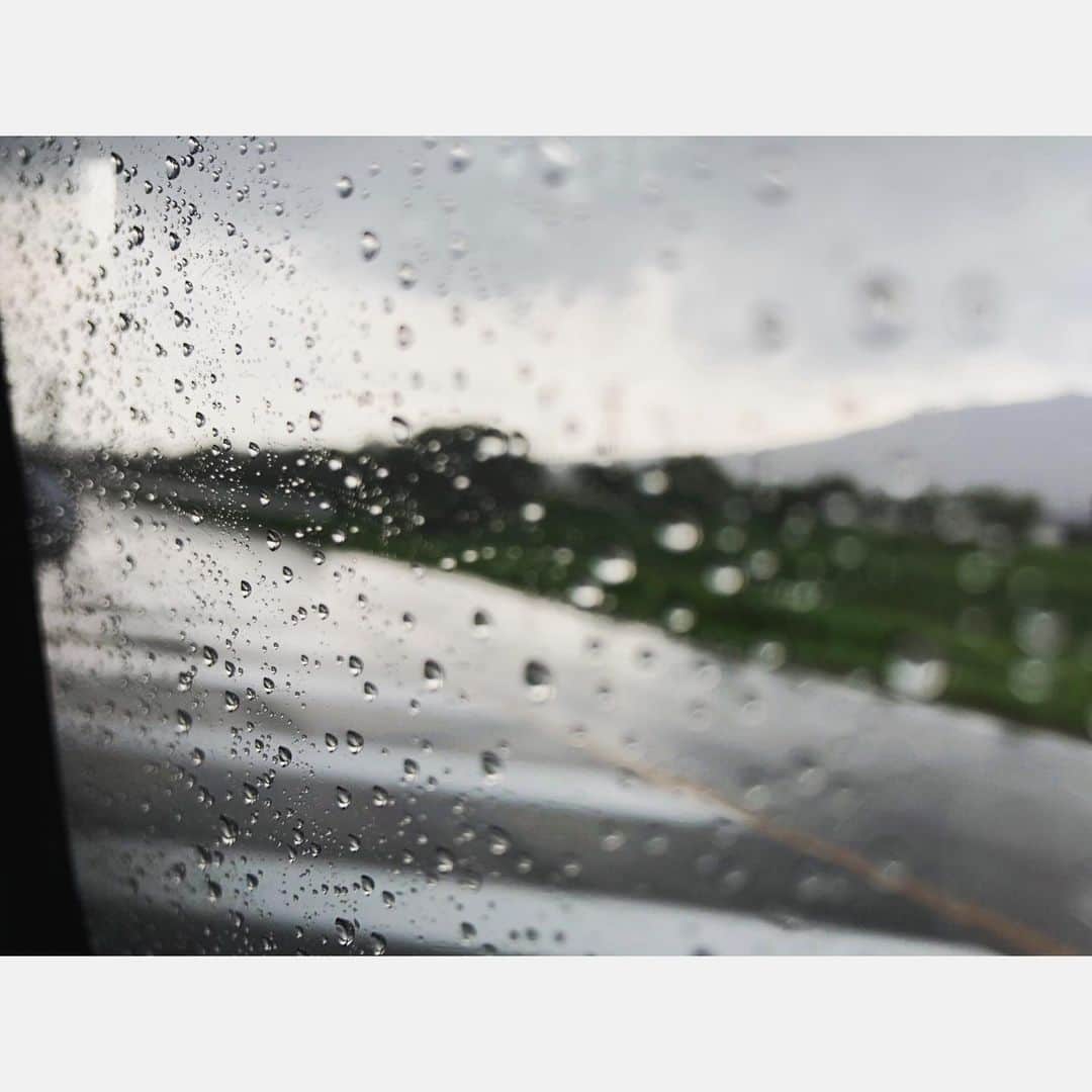 武田訓佳さんのインスタグラム写真 - (武田訓佳Instagram)「雨の日。 ・ 下向いて足もと慎重に歩く人 上向いて空を見ながら歩く人 ・ ・ 私は ・ きゃぴきゃぴ 楽しくて上みてたら 水溜りにはまる人🐸 ・ ・ #rainyday #雨 #案外嫌いじゃない #傘は忘れがち  #少しの雨は #降ってないふりする ← #雨の季節 #もうすぐ終わるね #梅雨 #梅雨明け #間近 #今日は晴れるよ ・ #いうてたら #梅雨明けた #1時間前 #ですよねー」7月24日 12時22分 - kunika0117