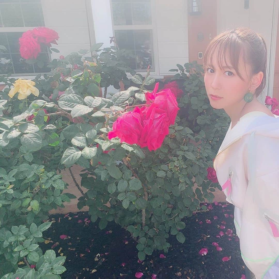 大場美奈さんのインスタグラム写真 - (大場美奈Instagram)「🌷🌈☁️ #LA #ske48 #frustration」7月24日 12時31分 - obamina__43