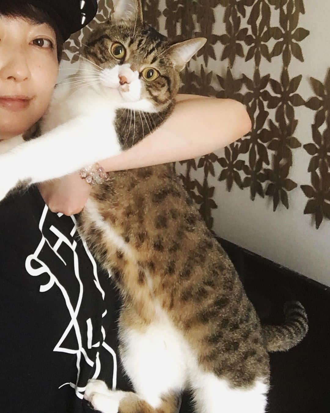 野本かりあのインスタグラム：「ルカさん、本当はタヌキさんじゃないのかしら？ #ほねぶと #体が大きい #5キロ #lukarly」