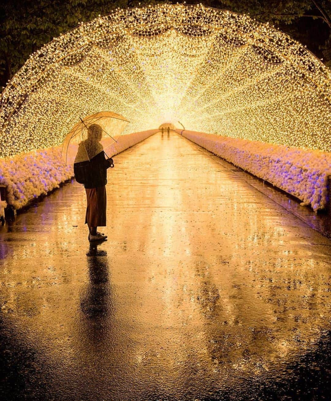 Wonderful Placesさんのインスタグラム写真 - (Wonderful PlacesInstagram)「Lights Festival in Mie - Japan ✨💖💖💖✨ . Pictures by ✨✨@godive2000✨✨ #wonderful_places for a feature 💖」7月24日 14時49分 - wonderful_places