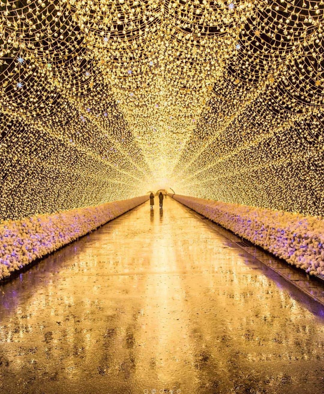Wonderful Placesさんのインスタグラム写真 - (Wonderful PlacesInstagram)「Lights Festival in Mie - Japan ✨💖💖💖✨ . Pictures by ✨✨@godive2000✨✨ #wonderful_places for a feature 💖」7月24日 14時49分 - wonderful_places