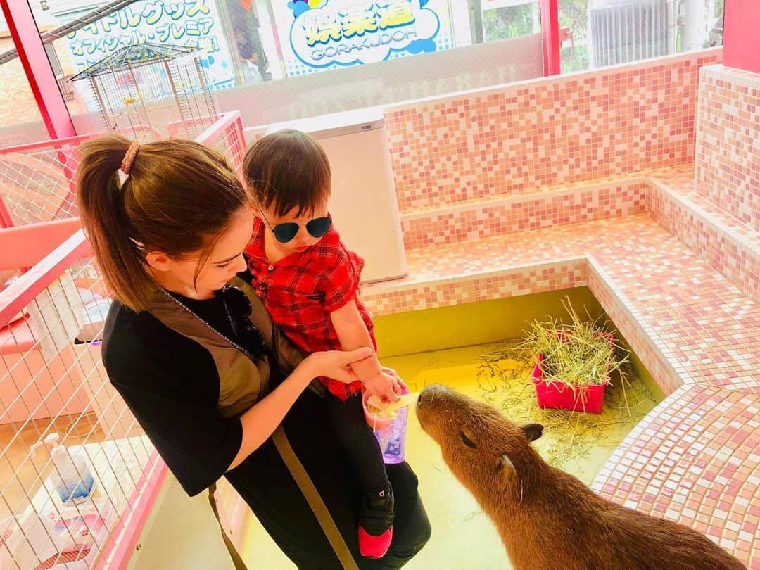 ハンナ・クインリヴァンさんのインスタグラム写真 - (ハンナ・クインリヴァンInstagram)「As cute as a capybara #zootopia #水豚君 #love #adventure」7月24日 15時34分 - hannah_quinlivan