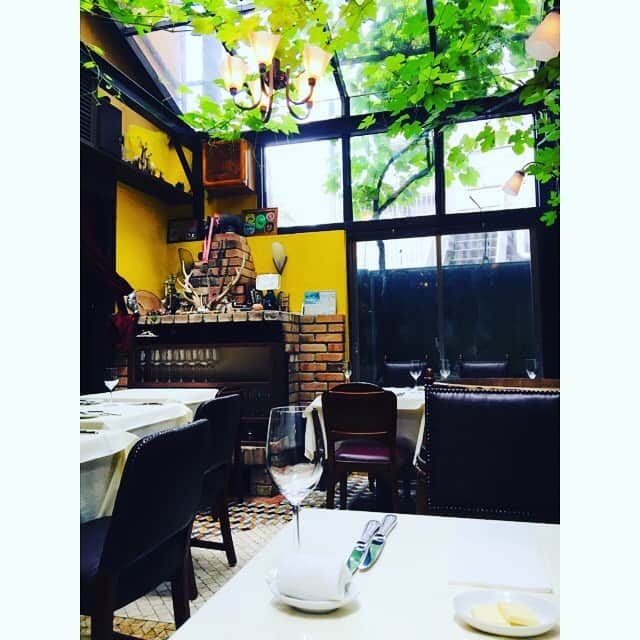 勝恵子さんのインスタグラム写真 - (勝恵子Instagram)「先日、10年来お世話になっている方にお誘いいただき、#cogitoへ。丁寧に作り込まれたフレンチ、気持ちが温かくなるお料理でした😍 サンルーフの天井には、葡萄の葉と蔦。 紅葉の時期にまた行きたい。ジビエも💕 #cogito #大人のランチ #フレンチ」7月24日 15時37分 - keiko.katsu