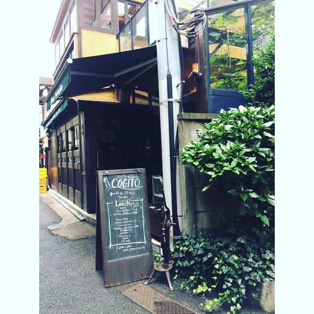 勝恵子さんのインスタグラム写真 - (勝恵子Instagram)「先日、10年来お世話になっている方にお誘いいただき、#cogitoへ。丁寧に作り込まれたフレンチ、気持ちが温かくなるお料理でした😍 サンルーフの天井には、葡萄の葉と蔦。 紅葉の時期にまた行きたい。ジビエも💕 #cogito #大人のランチ #フレンチ」7月24日 15時37分 - keiko.katsu