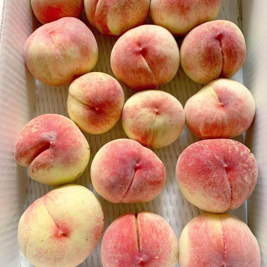 Rachien Smoothieのグルメインスタ