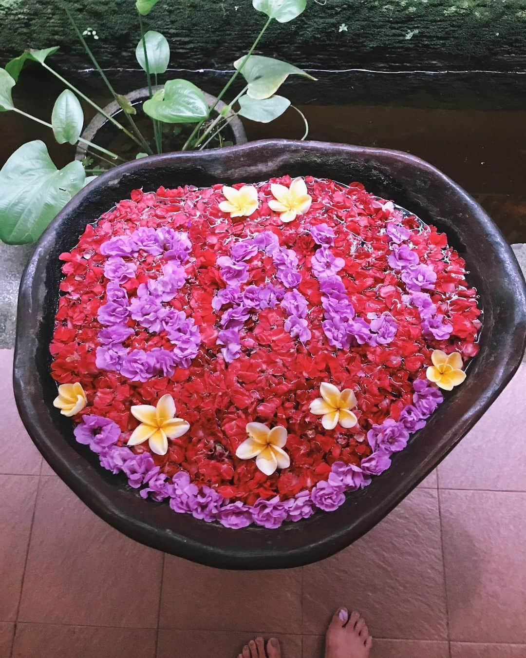 HARUEさんのインスタグラム写真 - (HARUEInstagram)「🌺 . #bali #ubud #indonesia #flower #flowerbath #バリ島 #ウブド #フラワーバス」7月24日 16時51分 - harue0104