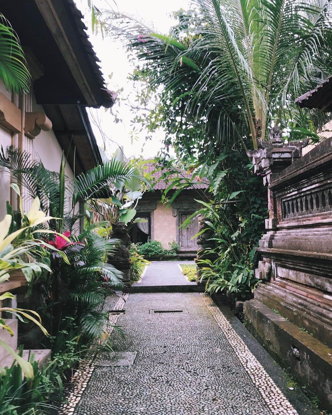 HARUEさんのインスタグラム写真 - (HARUEInstagram)「🌺 . #bali #ubud #indonesia #flower #flowerbath #バリ島 #ウブド #フラワーバス」7月24日 16時51分 - harue0104