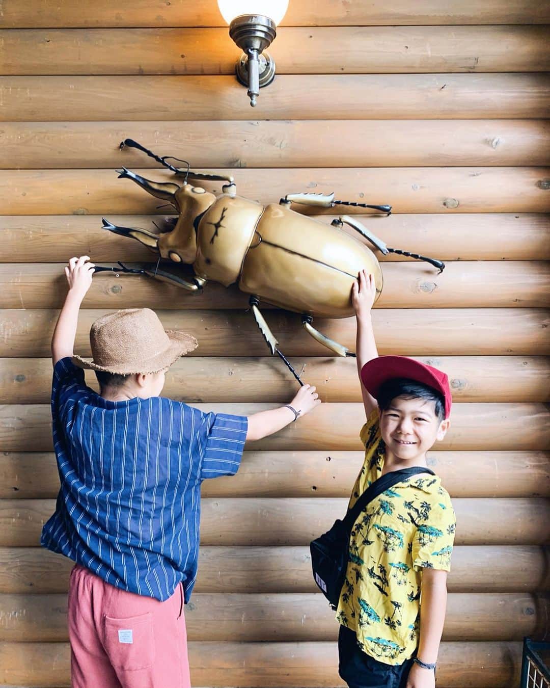 misatoさんのインスタグラム写真 - (misatoInstagram)「♡︎ʾʾ 昆虫好きの息子たちの為に 旦那が検索してたどり着いた #ふるさと世界の昆虫館 🐞✨ . . #玉露の里 と同じスペースにある こちらの昆虫館ですが 館長さんが実はすごい人‼︎ 前日に伺った #磐田市竜洋昆虫自然観察公園 の立ち上げに関わった方で 向こうでも見ることの出来なかった 珍しい標本がこちらには たくさんありました☺︎🎶 . 次男の一番好きな #スペキオスシカクワガタ も やっとこちらで見ることが出来た💘 . 館長さんが色々説明してくれたり 実際に触らせてもらったり いっしょに写真も撮らせてもらえて 昆虫好きな丸顔たちは大喜び♡ . そんなに広くないから すぐ見終わっちゃうんだろうなぁ って思っていたけど なんやかんやで2時間近く滞在😂 おそるべし昆虫好き達‼︎👦🏽👦🏽 . . 昆虫好きなお子さんは 絶対楽しめます♡ 逆に昆虫嫌いなママさんは 入らない方がいいです😂 壁全面が昆虫なので💣笑 . . . #昆虫館#博物館#夏休み#藤枝#藤枝市#静岡観光#静岡旅行#子連れ旅行 #子連れ#丸顔しぞーか #昆虫館#カブトムシ#小学生#kidsfashion #kidsmodel#キッズコーデ#キッズモデル#静岡旅行#昆虫好き#夏休み#自由研究」7月24日 17時27分 - leialoha319