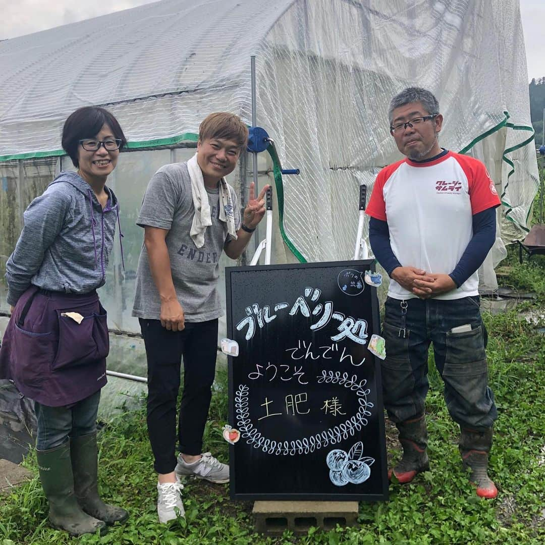 土肥ポン太さんのインスタグラム写真 - (土肥ポン太Instagram)「丹波篠山のブルーベリー農家さん『伝田農産』さんに行って来ました〜❗️ 甘くて美味しくて大きなブルーベリー達と出会いました〜🎉 伝田農産さんありがとうございました‼️ #丹波篠山 #大阪から近い #土肥ポン太 #ブルーベリー #素敵なご夫婦」7月24日 17時31分 - dohi_ponta