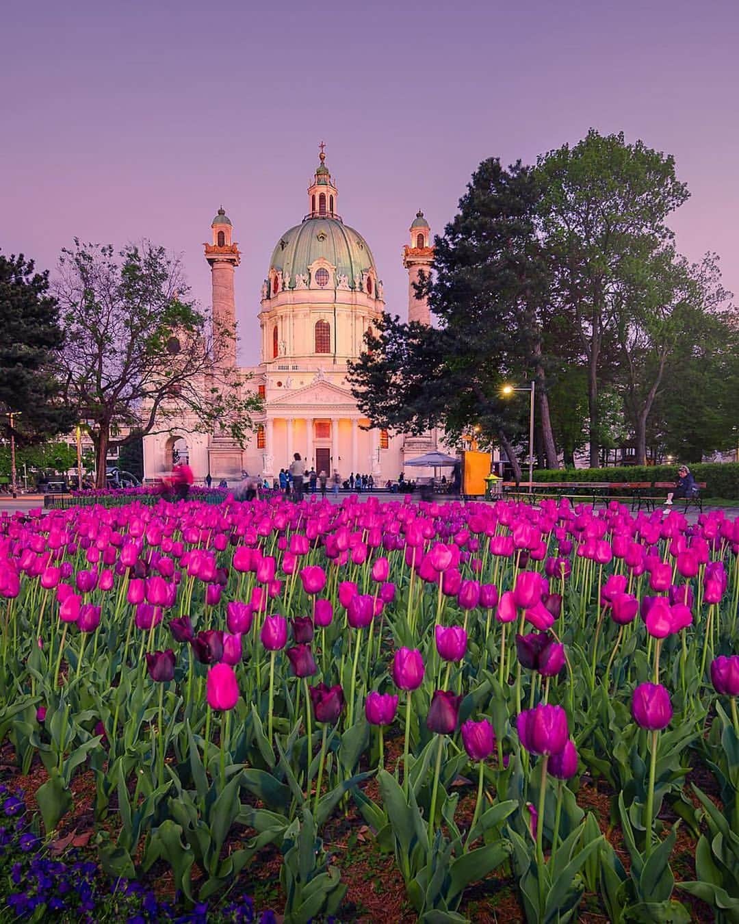 Wien | Viennaさんのインスタグラム写真 - (Wien | ViennaInstagram)「Did you visit #Vienna during spring? It‘s truly a magnificent season for visiting this city - flowers bloom everywhere. Such as in front of St. Charles Church and at Volksgarten. However, you can still marvel at different flowers at both of these locations - who wants to visit them? 🌹✨ by @nagyloryphoto #ViennaNow」7月24日 18時00分 - viennatouristboard