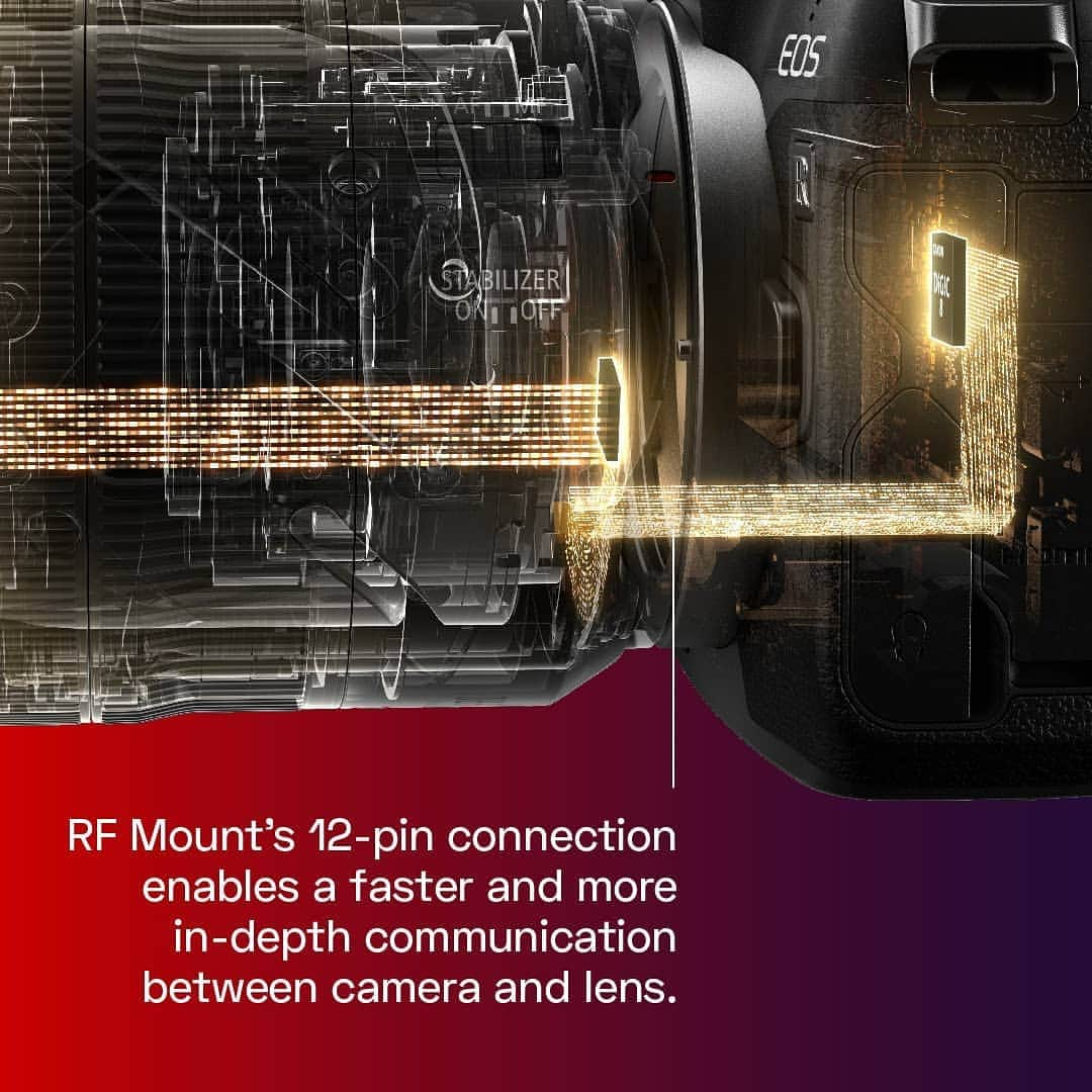 Canon Asiaさんのインスタグラム写真 - (Canon AsiaInstagram)「Did you know that our EOS R cameras function just like the human brain? 🤓 Similar to the nerves in our brain, the 12 pins on the new RF mount allow for swift transmission of large amounts of data between the camera and lens. . The result? ⚡ A more powerful imaging system overall with faster AF, higher image stabilization and image optimization! . . #canon #canoneosr #photography #funfacts #fullframemirrorless #canoneosrp」7月24日 18時07分 - canonasia