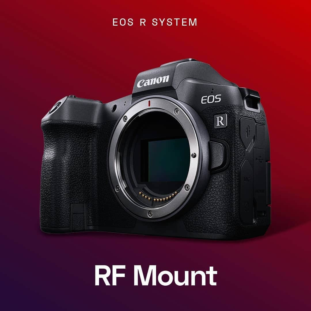 Canon Asiaさんのインスタグラム写真 - (Canon AsiaInstagram)「Did you know that our EOS R cameras function just like the human brain? 🤓 Similar to the nerves in our brain, the 12 pins on the new RF mount allow for swift transmission of large amounts of data between the camera and lens. . The result? ⚡ A more powerful imaging system overall with faster AF, higher image stabilization and image optimization! . . #canon #canoneosr #photography #funfacts #fullframemirrorless #canoneosrp」7月24日 18時07分 - canonasia