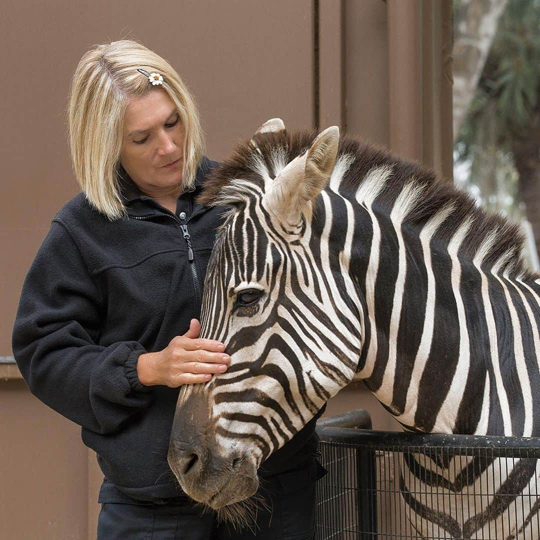 San Diego Zooさんのインスタグラム写真 - (San Diego ZooInstagram)「We can't squeeze every keeper into a single post, but we are infinitely grateful for the passionate and dedicated members of our animal care team. Thanks for everything you do for wildlife. Happy National Zookeeper Week 💚 #NationalZookeeperWeek #sandiegozoo #EndExtinction」7月25日 3時45分 - sandiegozoo