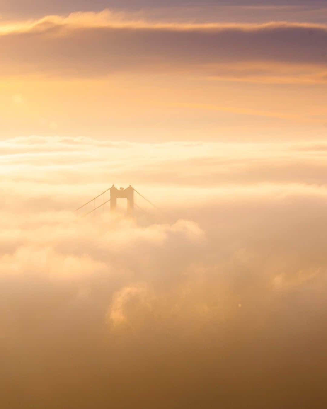 National Geographic Travelさんのインスタグラム写真 - (National Geographic TravelInstagram)「Photo by @emilypolar | The top of the Golden Gate Bridge peaks out of a sea of fog at sunset. To see more of California and beyond follow me @emilypolar #California #GoldenGateBridge #SanFrancisco」7月25日 3時57分 - natgeotravel
