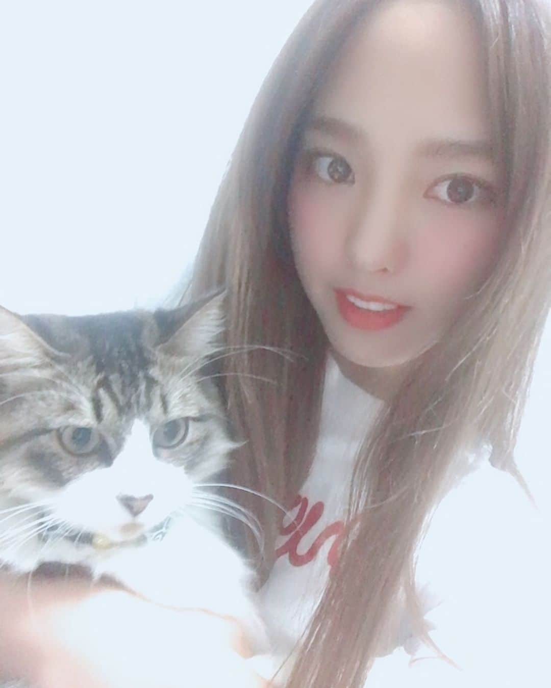 飯窪春菜のインスタグラム：「🐈🤛🏻💢 ・ 我が家のテトくん。 良いキャラしてるんです…笑笑 ・ ・ ・ #ねこのいる生活  #猫のいる暮らし  #テト  #不機嫌  #猫パンチ  #はるなの毎日  #飯窪ってる」