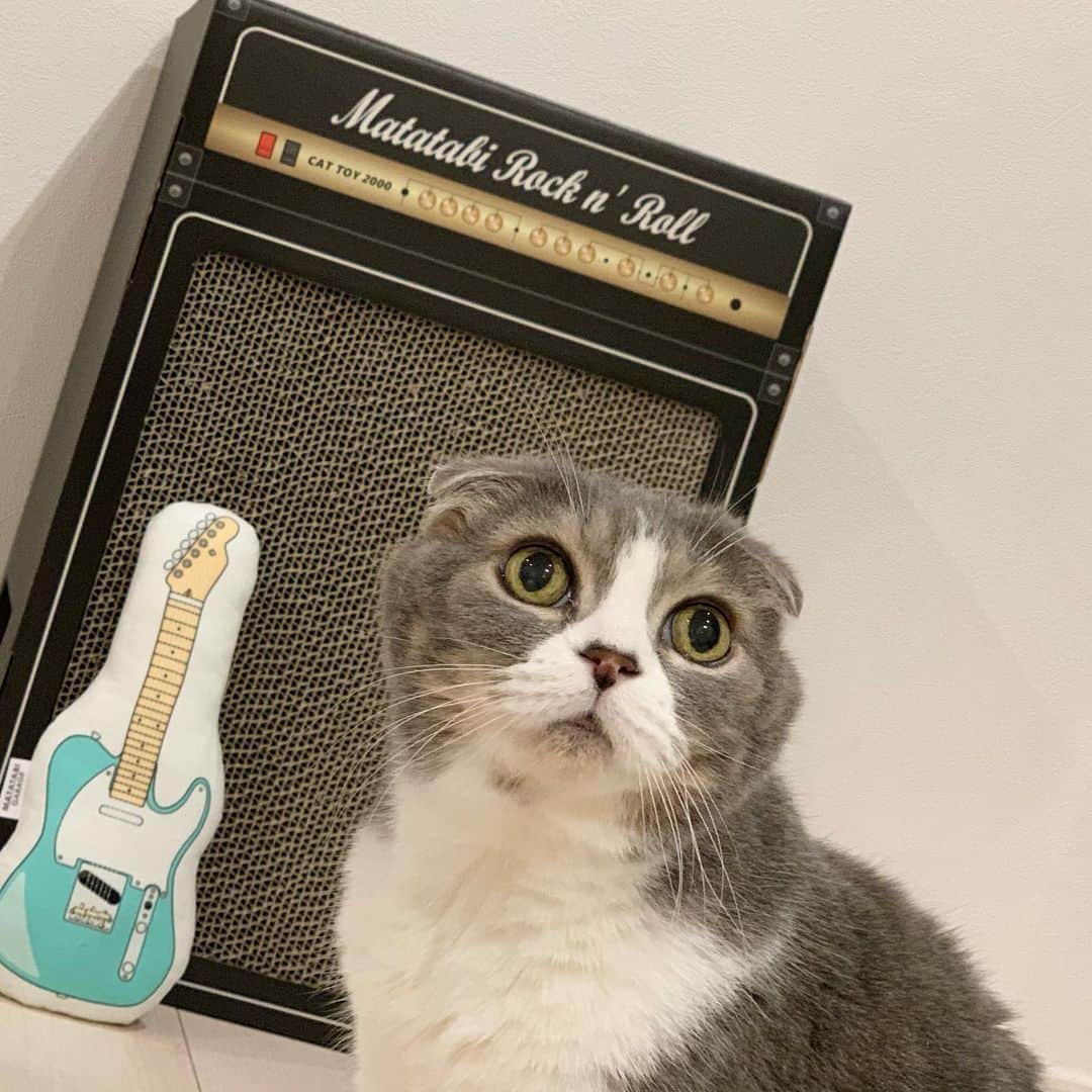CUTTのインスタグラム