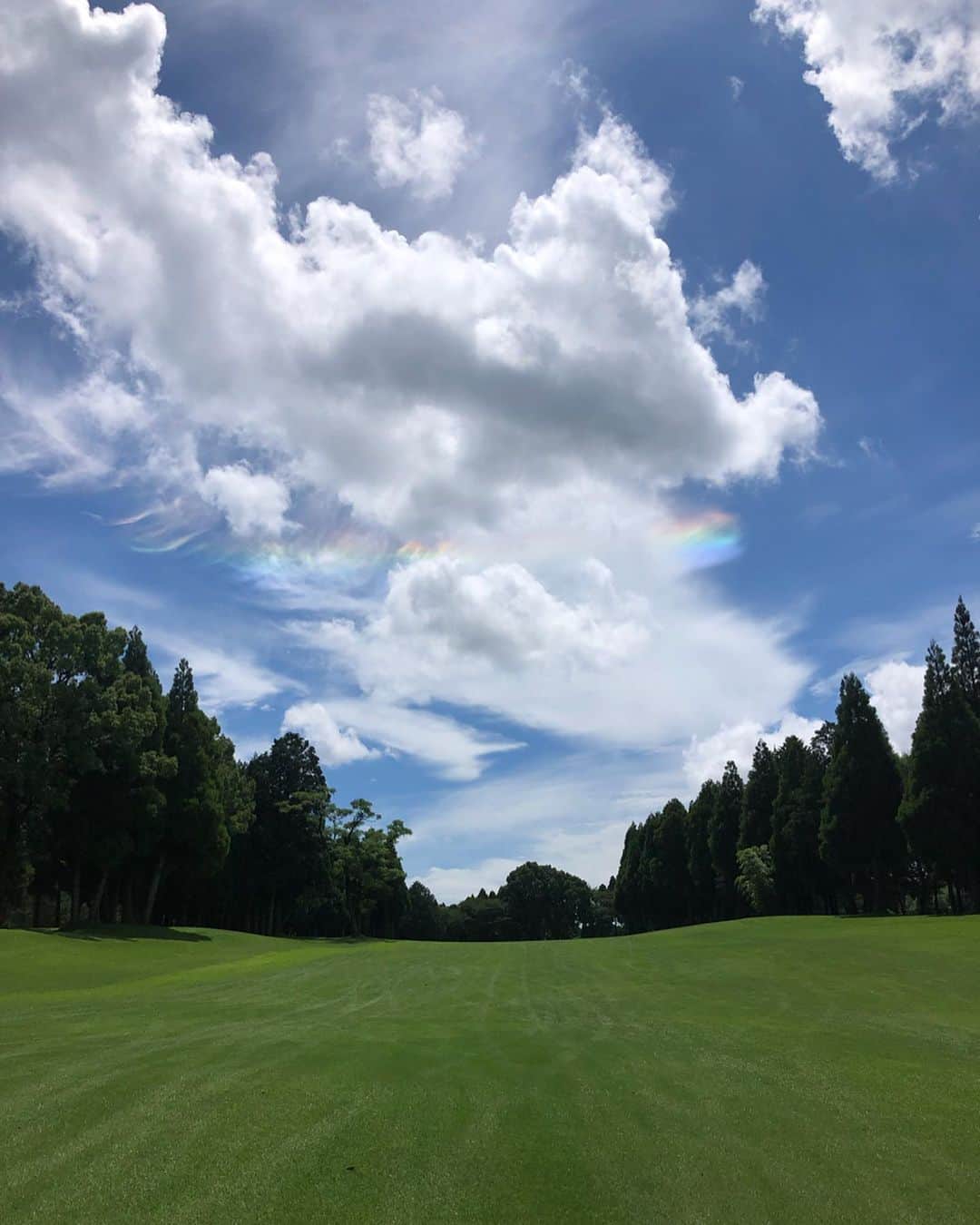 野口彩未のグルメインスタ