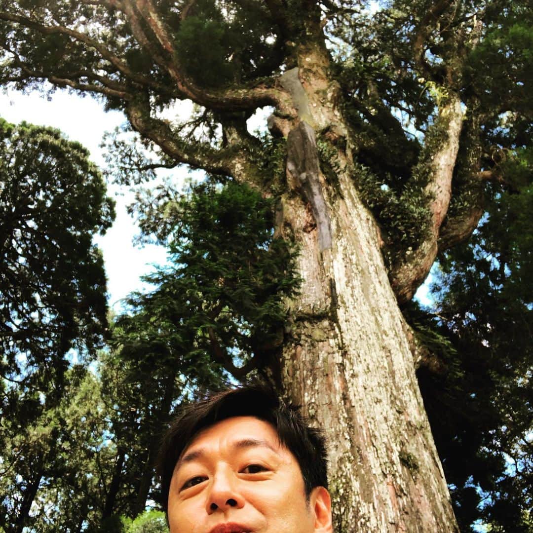 石丸幹二さんのインスタグラム写真 - (石丸幹二Instagram)「#霧島国際音楽祭 にやって参りました。そして霧島神宮に参りました。御神木と共に🤳。 明日は #題名のない音楽会 の収録をしますよ。 鹿児島で太陽を拝んでます。風が心地ので気持ちが良いです。#石丸幹二」7月24日 21時07分 - team_kanji_ishimaru