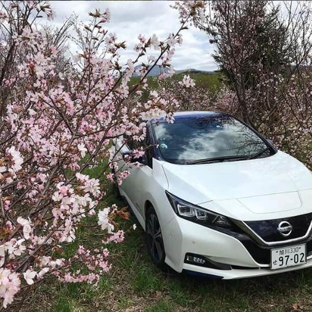 Nissanさんのインスタグラム写真 - (NissanInstagram)「You can find us here until Friday. #Midweek #NissanLEAF #SimplyAmazing 📷&🚗: @leaflife9702」7月24日 22時00分 - nissan