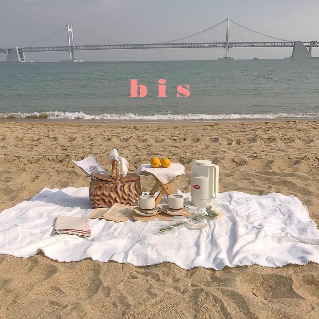 bis_web bis [ビス] のインスタグラム