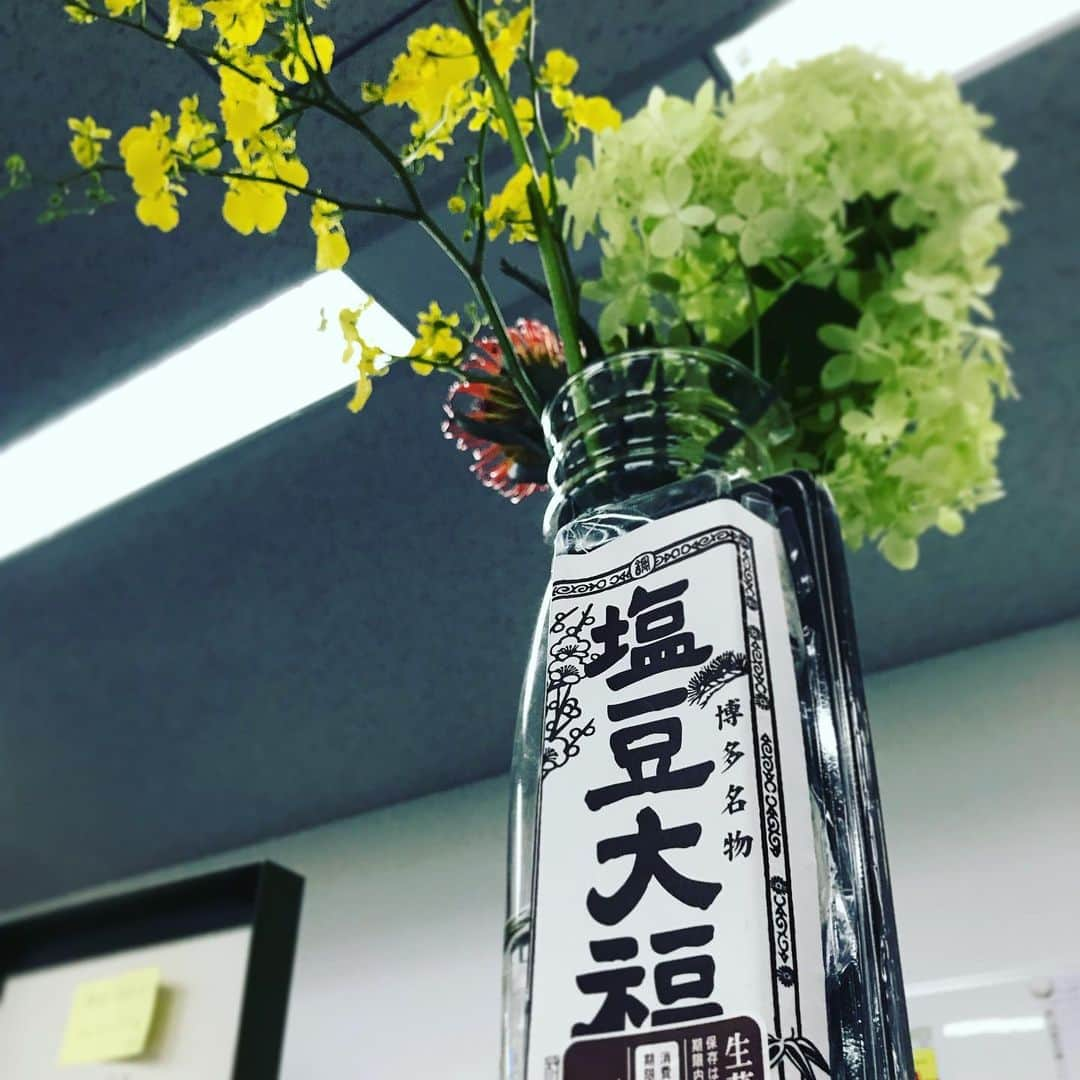 渡邉敬大さんのインスタグラム写真 - (渡邉敬大Instagram)「平山さんからお土産！ . . . 平山さんが福岡に遊びに行くと聞いて 「塩豆大福食べたいです〜」と さりげなく言ったら… . 今日！ 「これ食べて頑張りんしゃい」 と！ 塩豆大福を！ . 優しい先輩に囲まれて幸せです…😭 . #大分 #大分放送 #obs #アナウンサー #石村萬盛堂 #塩豆大福 #こすかー #高校野球 #最後まで頑張ります」7月24日 22時59分 - obs_watanabe_keita