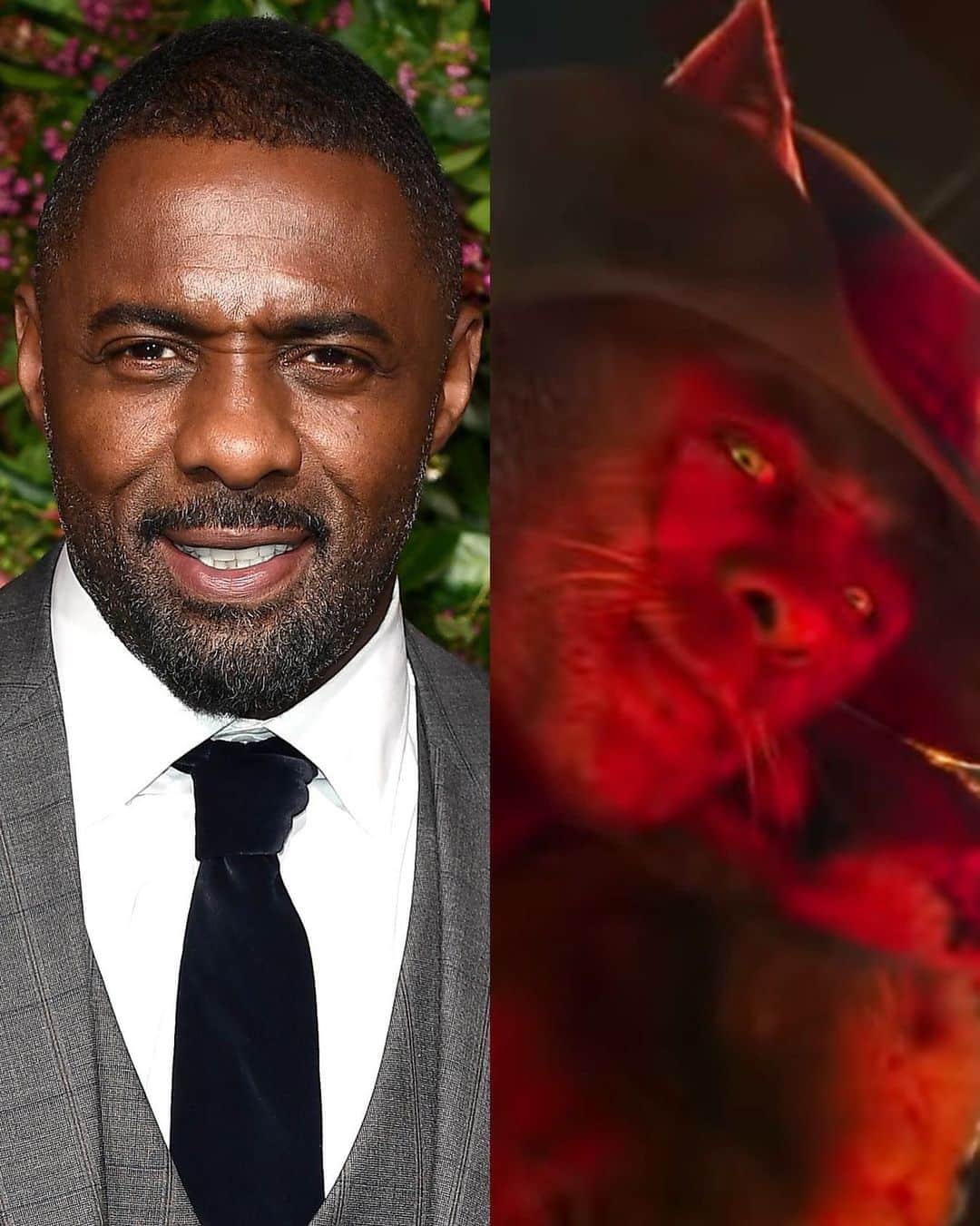 Just Jaredさんのインスタグラム写真 - (Just JaredInstagram)「@idriselba is reacting to how he looks in the @catsmovie trailer, which quickly went viral after it debuted online. Tap this pic in the LINK IN BIO to see.  #IdrisElba #CatsMovie Photo: Getty/Universal」7月24日 23時03分 - justjared