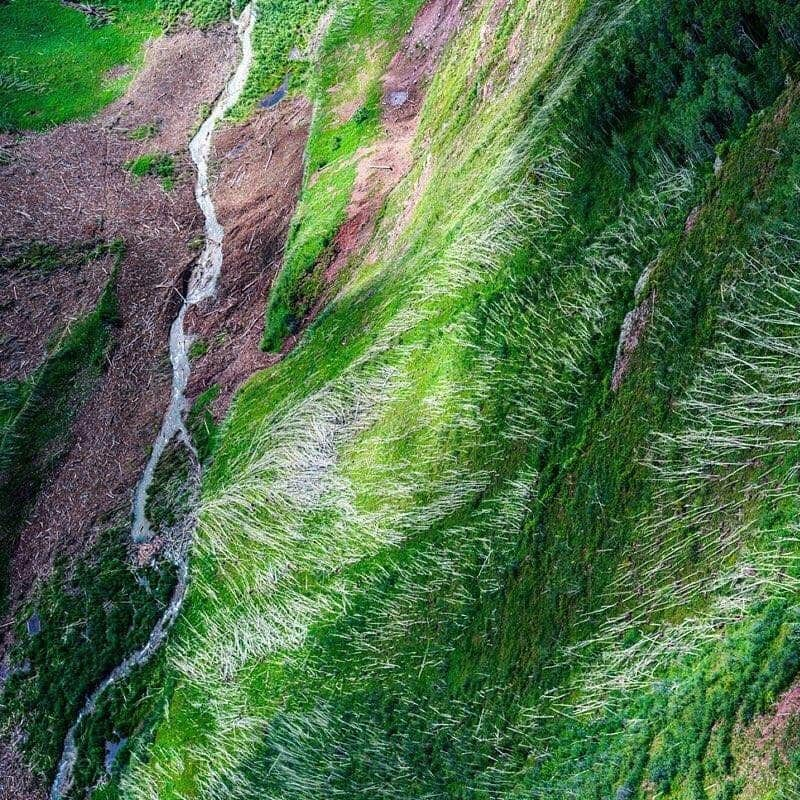 ナショナルジオグラフィックさんのインスタグラム写真 - (ナショナルジオグラフィックInstagram)「Photo by Pete McBride @pedromcbride | The wake of nature’s work: The humbling power of an avalanche leaves an old aspen forest brushed over and rooted like toothpicks. After roughly two decades of drought in the Colorado River Basin, the record snowpack was welcome, but it didn’t depart quietly. This past winter saw one of the most extreme avalanche cycles in Colorado's history, thanks to an unsteady snowpack followed by heavy storms. For more on natural phenomena, follow @pedromcbride. #avalanche #nature #mountains #aerial #petemcbride」7月24日 23時42分 - natgeo