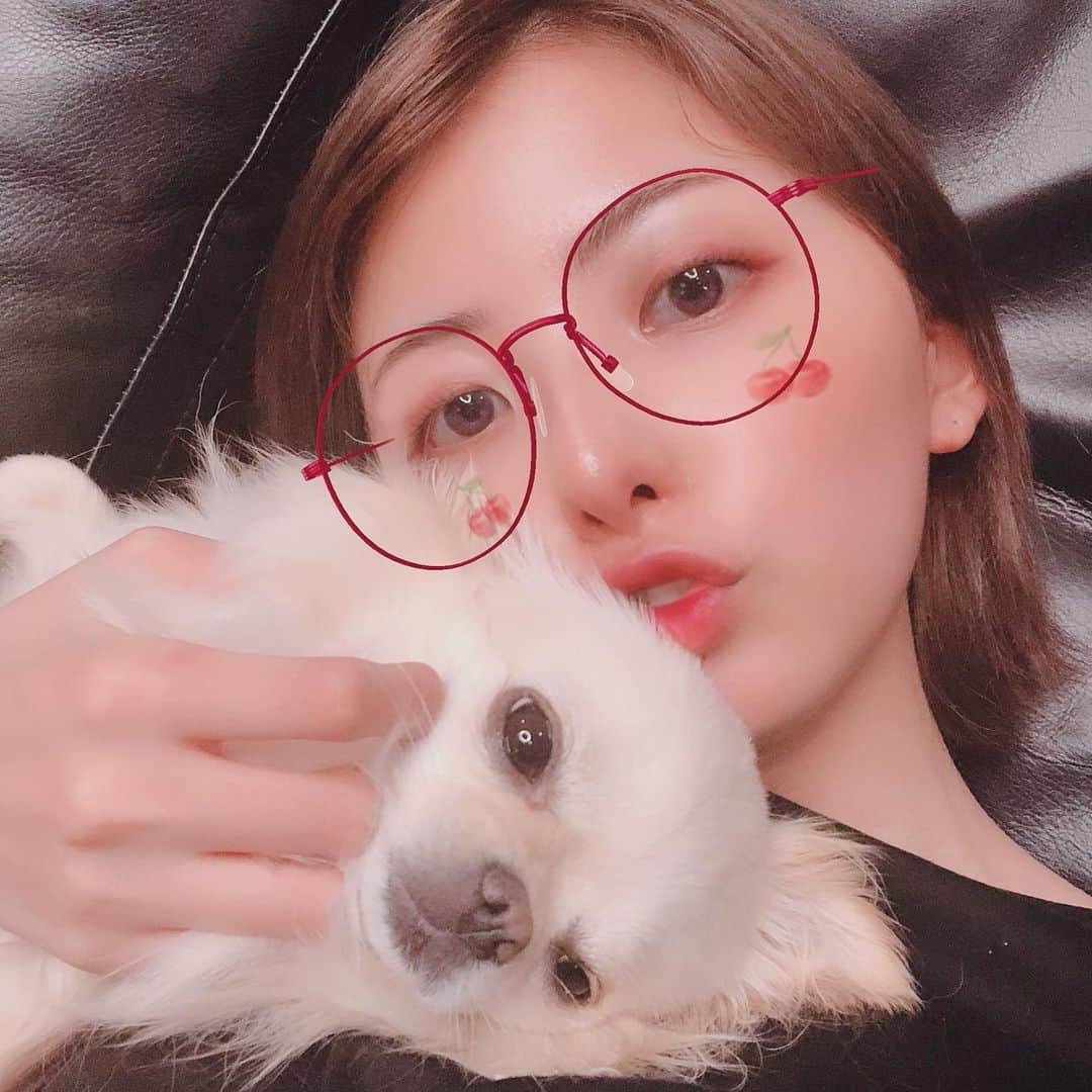 岡田栞奈のインスタグラム：「愛娘❤️ マツエクとったからまつげがない(笑) そいえばクリアレンズ生活 やっと慣れてきた🥺 #犬のいる暮らし #チワワ #ぽぽ #すっぴん #クリアレンズ」