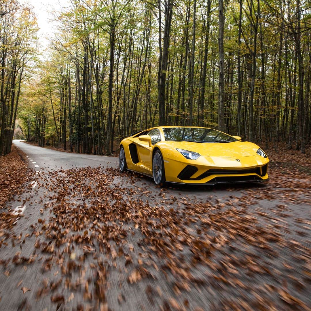 ランボルギーニのインスタグラム：「One masterpiece, several ways of living the experience: Lamborghini Lover, can you tell the name of the dynamic control unit of Aventador S?  #Lamborghini #AventadorS #LamborghiniMaster」