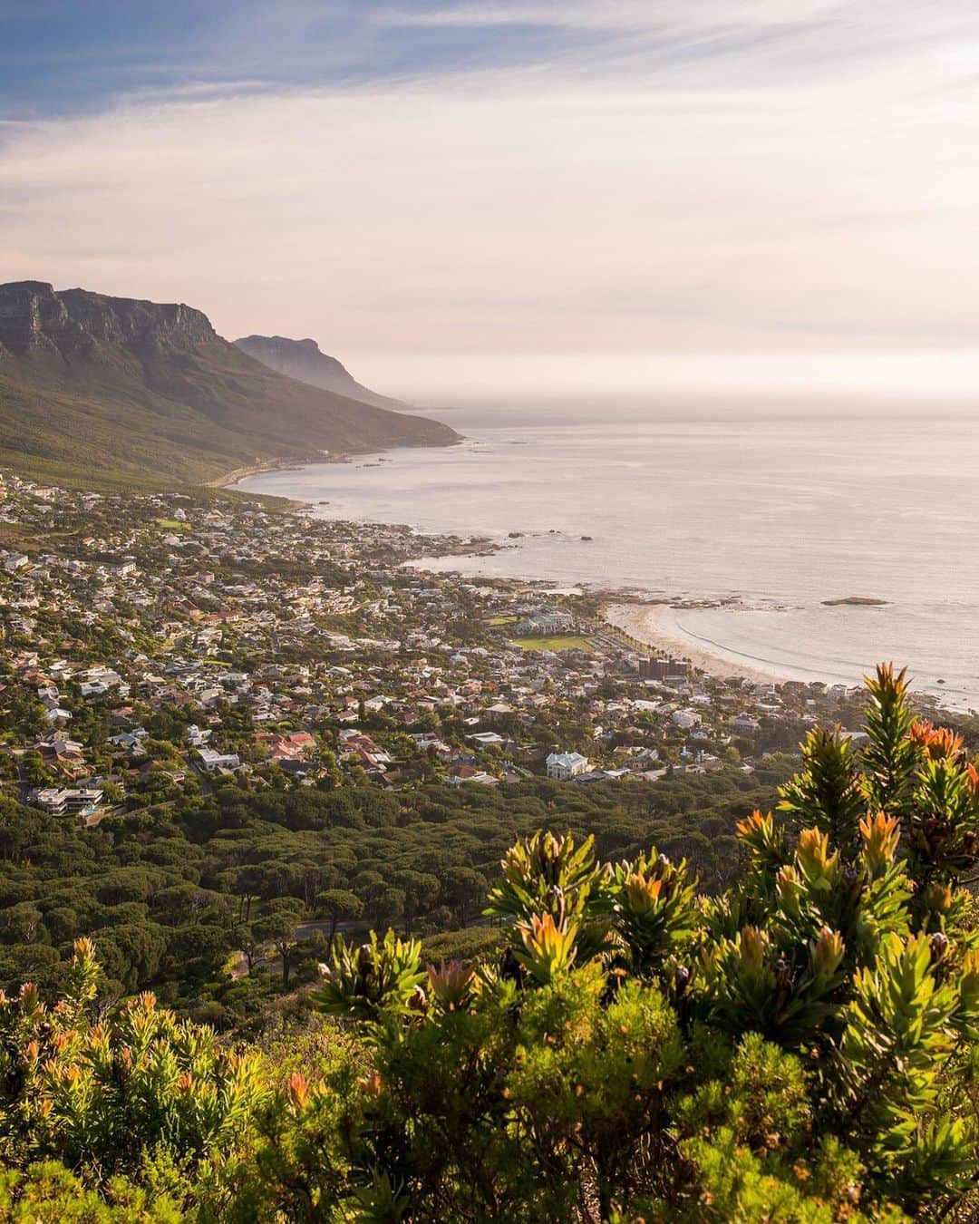 National Geographic Travelさんのインスタグラム写真 - (National Geographic TravelInstagram)「Photo by @KristaRossow // sponsored by @parkhyatt // I have an affinity for coastal cities and Cape Town, South Africa, is one of my favorites because it combines culture and outdoor activities. Late afternoon is the perfect time to hike up Lion's Head to watch the sun heading toward the horizon. As the hike winds to the top of the mountain peak, it affords stunning views like this perspective over the neighborhood of Camps Bay, which is nestled between the Atlantic Ocean and the dramatic Twelve Apostles Mountain Range. // For discerning @parkhyatt guests, luxury is not easily defined but often reflected in their most personal travel mementos. #ParkHyatt #LuxuryIsPersonal」7月25日 1時05分 - natgeotravel