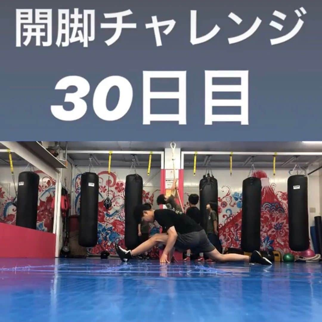 青山フォール勝ち ネルソンズさんのインスタグラム写真 - (青山フォール勝ち ネルソンズInstagram)「開脚チャレンジが60日目を迎えました。初日→30日目→60日目。  #開脚チャレンジ #180度開脚 #ストレッチ #柔軟  #training #fitness #fit #body #workout #gym #fitnessmotivation #legs #sport #hot #fitgirl #fitnessmodel #squat #swimsuit #diet #wrestling #開脚好きと繋がりたい  残り40日。開脚の情報があればお願いします。」7月25日 1時18分 - nelsons_aoyama