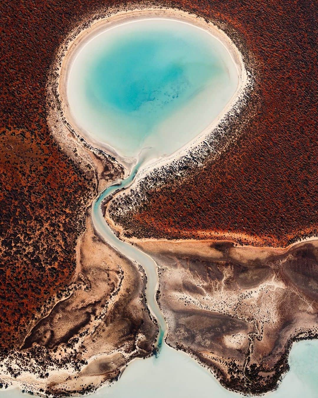Discoveryさんのインスタグラム写真 - (DiscoveryInstagram)「“The Shark Bay peninsula is located at the most westerly point on the Australian continent. UNESCO officially lists it as a World Heritage Site due to its precious marine life. The natural and vibrant elements of earth and sea fuse together to create some of the most captivating landscapes of Australia.” 📸 + caption by Tom Hegen (@tomhegen.de) . . . . #photography #photooftheday #explore #naturephotography #nature #potd #travelIG #wow #natureIG #explore #travelgram #wildlifeIG #TomHegen #sharkbay #Australia」7月25日 1時23分 - discovery