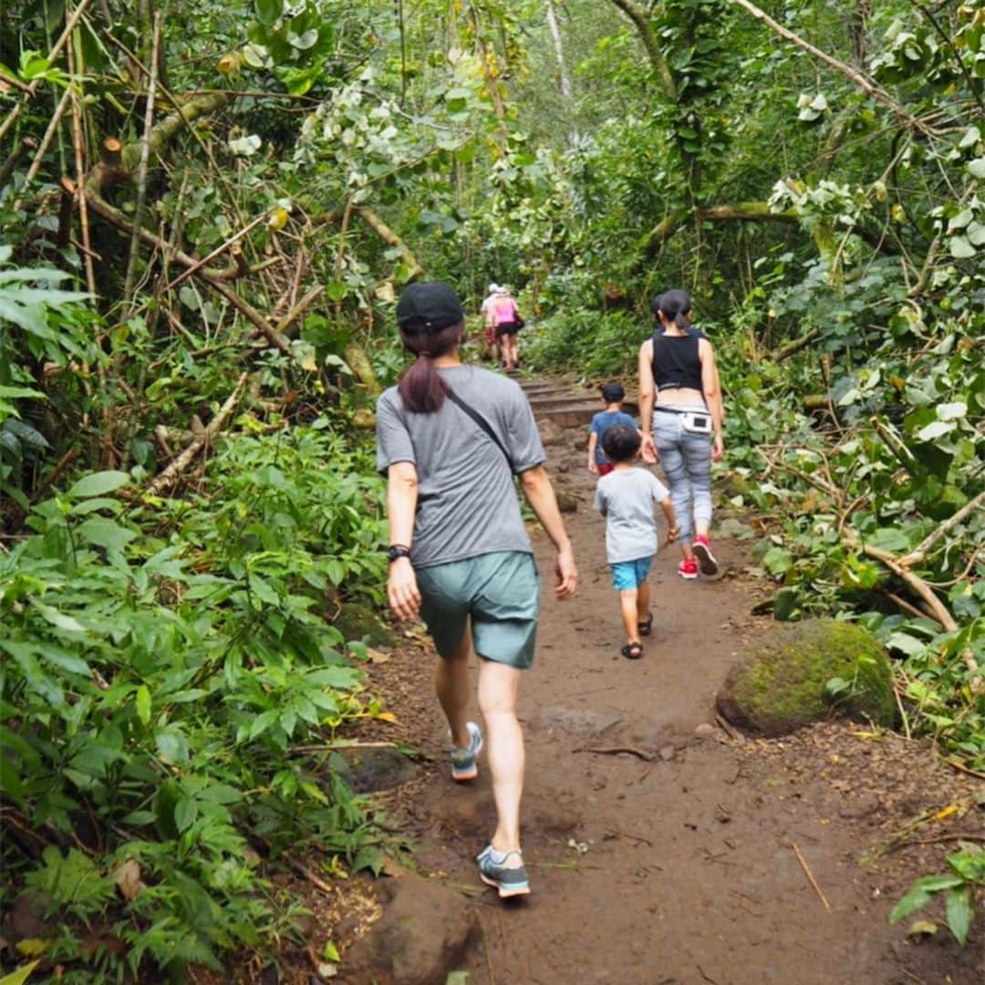 亀恭子さんのインスタグラム写真 - (亀恭子Instagram)「trekking @manoafalls . . . 近場で程よい運動^ ^ 少しお兄ちゃんのお友達と、 終始それはそれはまー楽しそうに ジャレてました❤︎ . . すっかりマブダチになった2人は男の子ならではに おしり とか、う◯ち とか、 その手の単語でえらい盛り上がってた… . . #hawaii #vacation #summervacation #relax #manoafalls #trekking @midoriohara thank u❤︎」7月25日 1時33分 - kame_kyo