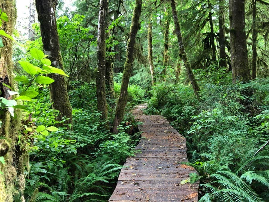 クリス・コルファーさんのインスタグラム写真 - (クリス・コルファーInstagram)「Exploring beautiful British Columbia. I hope we shoot the Land of Stories movie here.」7月25日 1時44分 - chriscolfer