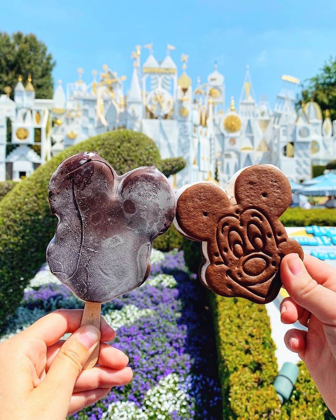ディズニーランドのインスタグラム