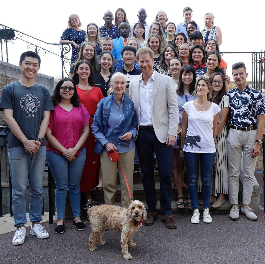 ロイヤル・ファミリーさんのインスタグラム写真 - (ロイヤル・ファミリーInstagram)「Yesterday, The Duke of Sussex attended Dr Jane Goodall’s Roots & Shoots Global Leadership Meeting at Windsor Castle.  Roots & Shoots is a global programme empowering young people of all ages through hands on projects chosen by the participants.  Roots & Shoots works to ignite and inspire the belief that every individual can take action to make the world a better place for people, animals and the environment.  It was founded by Dr Goodall with just 12 Tanzanian High School Students from nine schools, Roots & Shoots today involves students in over 50 countries with members ranging from pre-school through university.  Yesterday, The Duke of Sussex met Jane Goodall, and young people where HRH heard about the changes they are trying to make in the world.  He also listened to presentations on endangered species and reducing plastic waste.  Find out more @sussexroyal  @JaneGoodallInst  @RootsAndShoots」7月25日 3時08分 - theroyalfamily