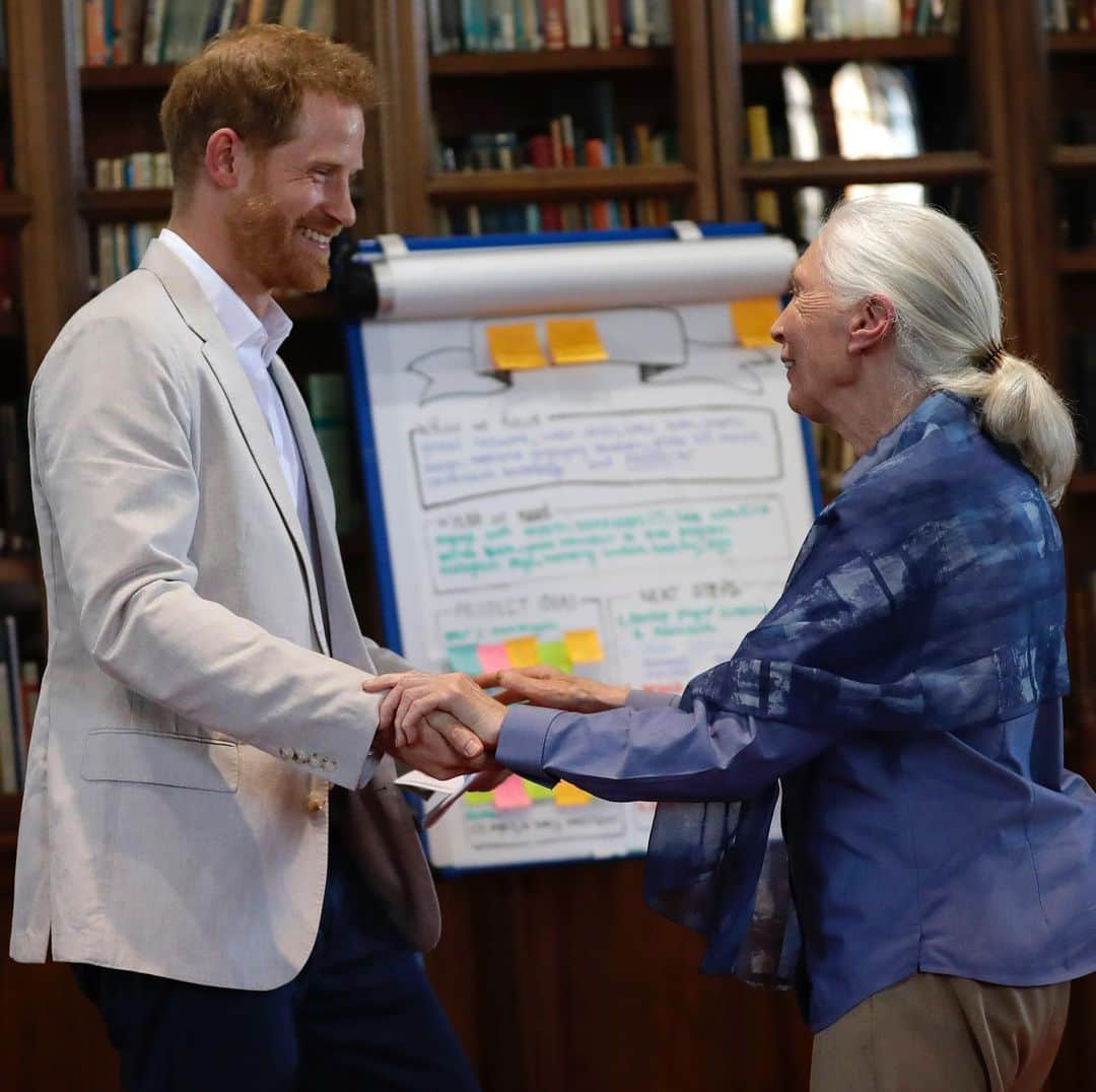 ロイヤル・ファミリーさんのインスタグラム写真 - (ロイヤル・ファミリーInstagram)「Yesterday, The Duke of Sussex attended Dr Jane Goodall’s Roots & Shoots Global Leadership Meeting at Windsor Castle.  Roots & Shoots is a global programme empowering young people of all ages through hands on projects chosen by the participants.  Roots & Shoots works to ignite and inspire the belief that every individual can take action to make the world a better place for people, animals and the environment.  It was founded by Dr Goodall with just 12 Tanzanian High School Students from nine schools, Roots & Shoots today involves students in over 50 countries with members ranging from pre-school through university.  Yesterday, The Duke of Sussex met Jane Goodall, and young people where HRH heard about the changes they are trying to make in the world.  He also listened to presentations on endangered species and reducing plastic waste.  Find out more @sussexroyal  @JaneGoodallInst  @RootsAndShoots」7月25日 3時08分 - theroyalfamily