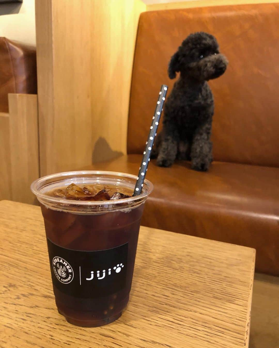 木村沙織さんのインスタグラム写真 - (木村沙織Instagram)「. いよいよ明日13:00からです🥤 . @streamer_coffee_company × @jiji.2018sgm . . 限定オリジナルドリンク " マックス " ( コールドブリュー☕️ ) . . #まっくす🐶」7月25日 12時58分 - saoriiiii819